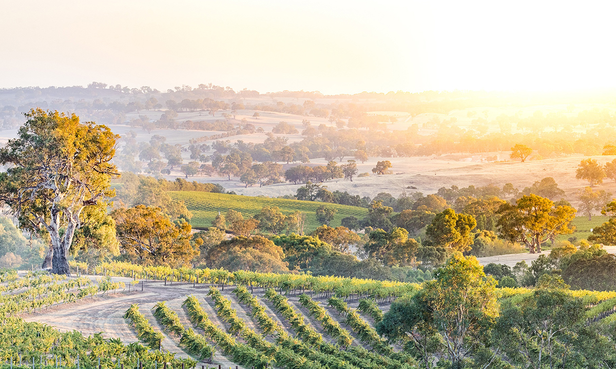 Andrew Holt runs Eden Valley’s Poonawatta and makes a slightly sweet riesling as well as a dry alternative.