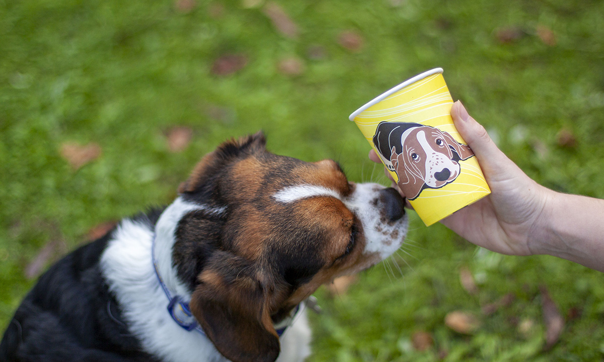 CoRe Dog Series Cups: Compostable, Recyclable, and Full of Heart 